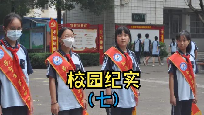 校园纪实（七）的封面图