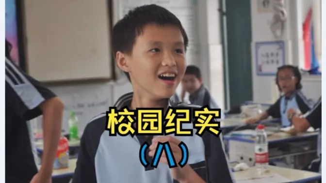 校园纪实（八）的封面图