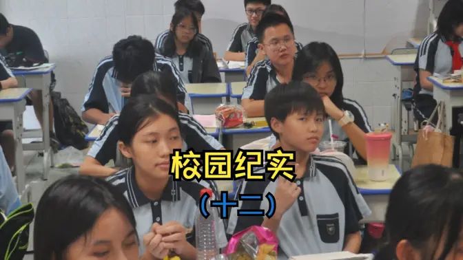 校园纪实（十二）的封面图